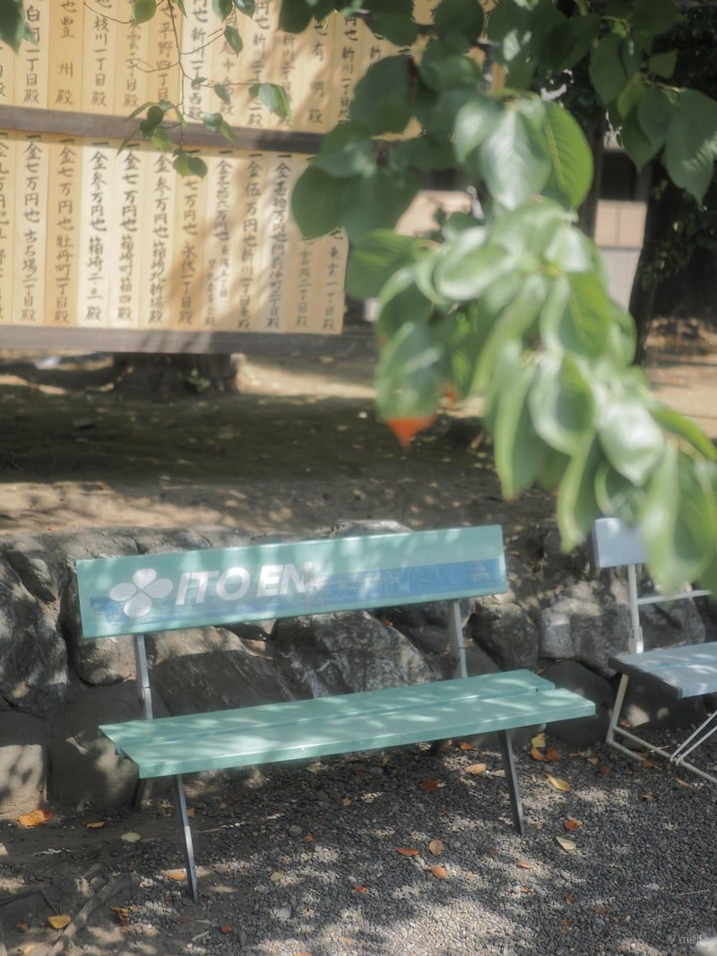 木漏れ日のベンチ